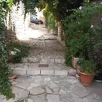 ανεμώνη Διαμέρισμα *
